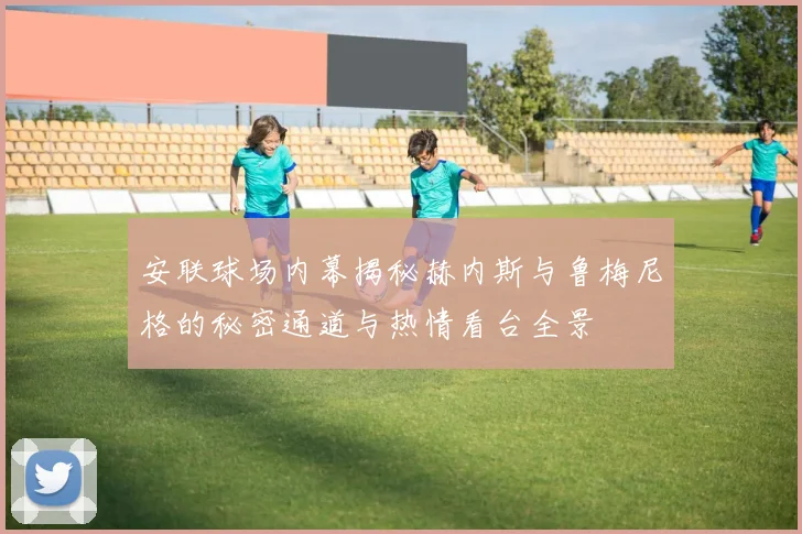 安联球场内幕揭秘赫内斯与鲁梅尼格的秘密通道与热情看台全景